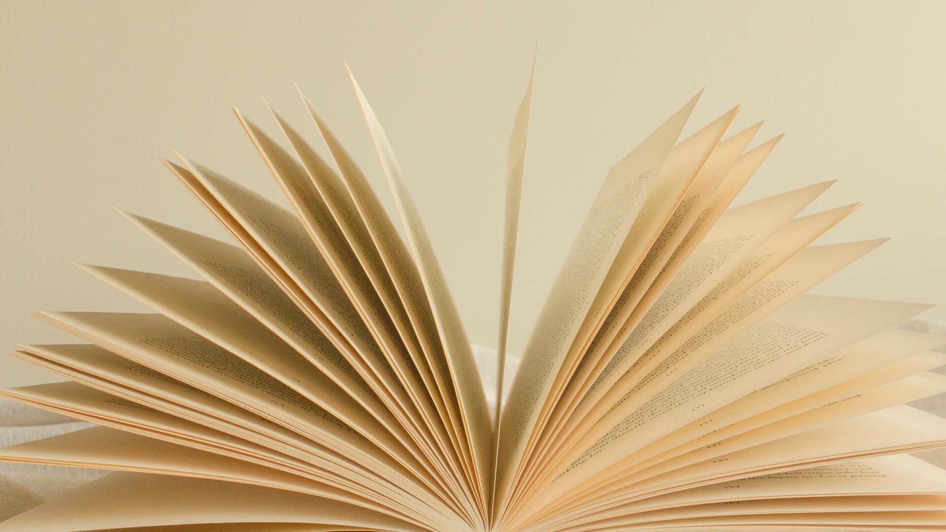 Open book with pages fanned out, symbolizing reading and literary study.