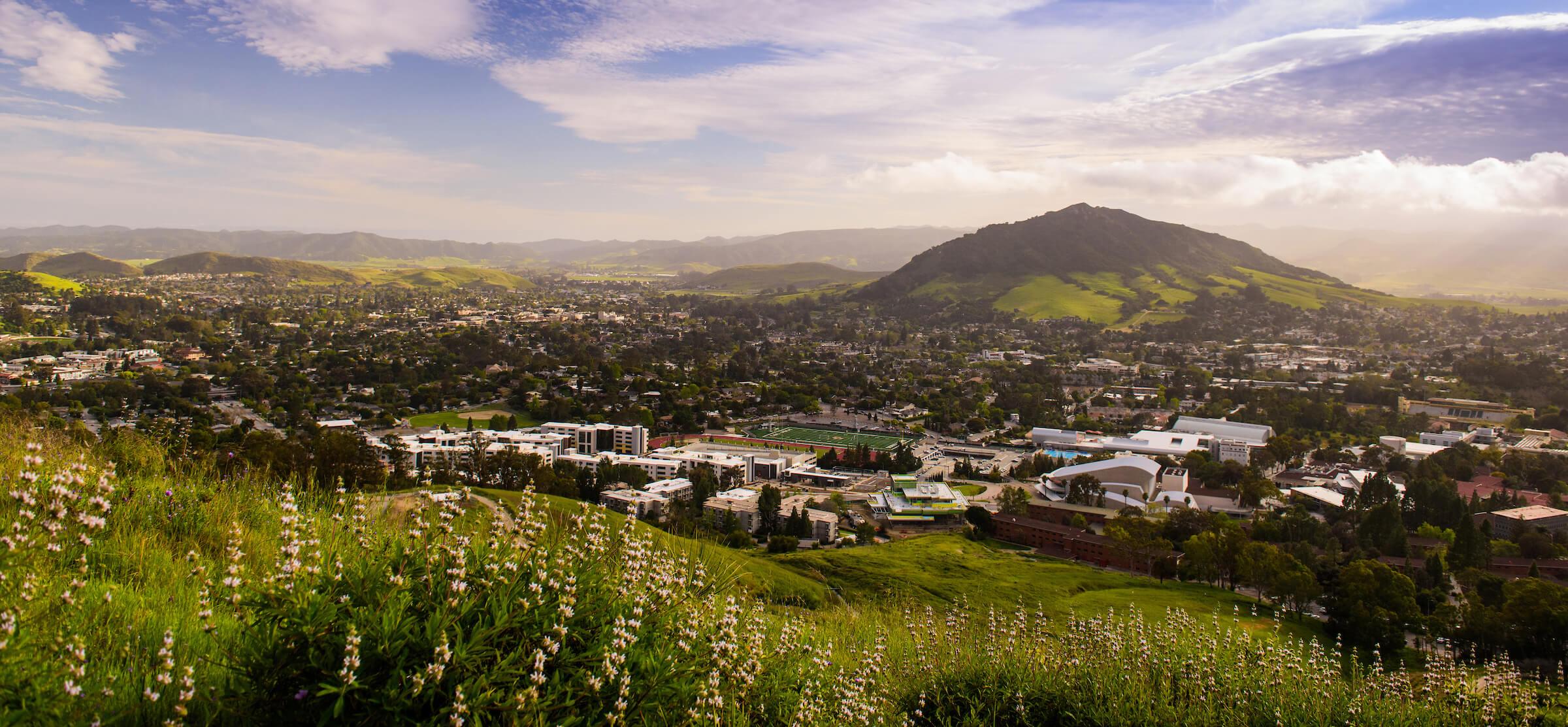 A town with buildings and sports fields surrounded by green hills and wildflowers under a partly cloudy sky.